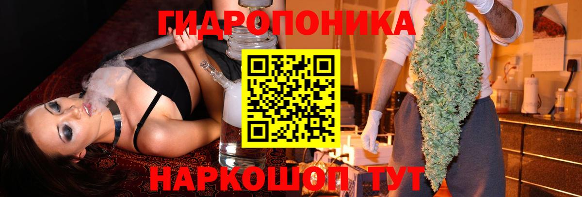Марихуана Amnesia  Канабис семена  Зима  Вход с VPN 